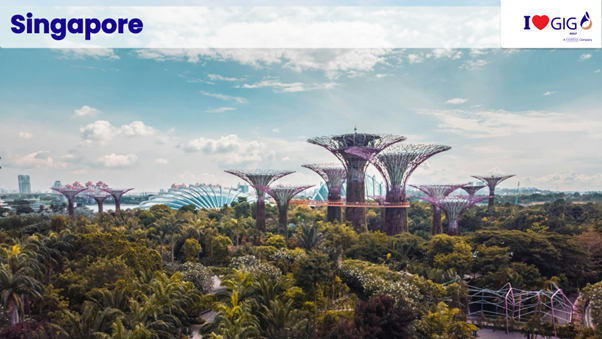 Travel insurance for Singapore from GIG Gulf